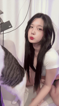 imgi_29_1036681e754e0978559425de33b122ac5.md.gif