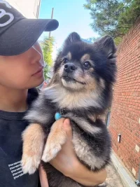 imgi_20_pyoeunjizzang_20250910_p_3718466258884174955_4_37184662458734749440d4ea36368fca9a3.md.webp