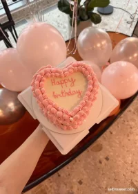 imgi_45_Seltin-Birthday-mess-16c607e5e225b55842.md.webp