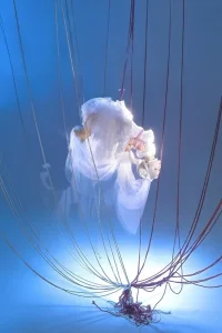 imgi_41_88a39b0c-73d2-4da7-91a3-c348898ef7a0.webp